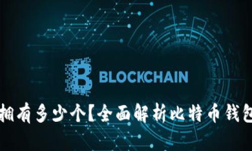 比特币钱包你可以拥有多少个?全面解析比特币钱包的种类与使用技巧