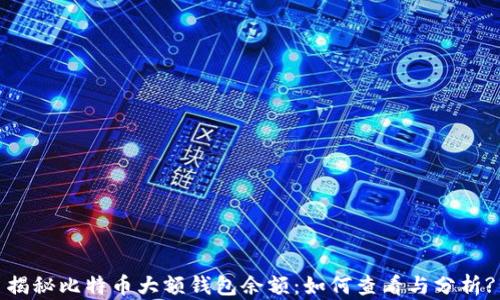 
揭秘比特币大额钱包余额：如何查看与分析?