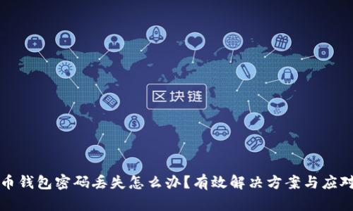 比特币钱包密码丢失怎么办?有效解决方案与应对策略