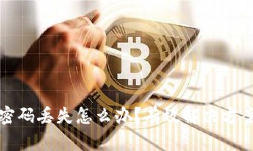 比特币钱包密码丢失怎么办?有效解决方案与应对策略