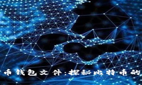 最早的比特币钱包文件:探秘比特币的起源与进化