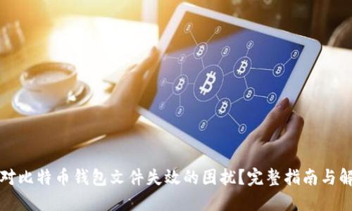 如何应对比特币钱包文件失效的困扰?完整指南与解决方案