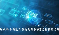 如何应对比特币钱包文件失效的困扰?完整指南