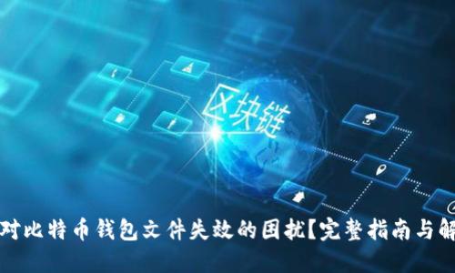 如何应对比特币钱包文件失效的困扰?完整指南与解决方案