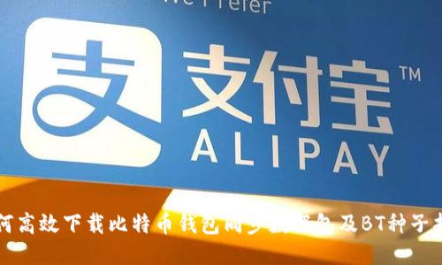 如何高效下载比特币钱包同步数据包及BT种子指南