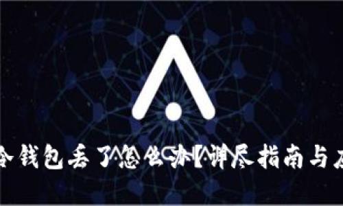 虚拟币冷钱包丢了怎么办?详尽指南与应对策略