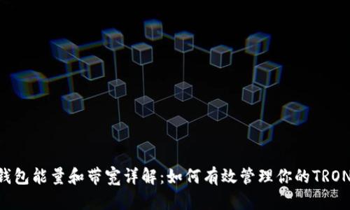 TRX钱包能量和带宽详解：如何有效管理你的TRON资产