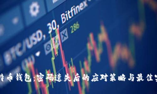 比特币钱包：密码遗失后的应对策略与最佳实践