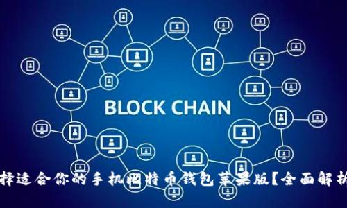 如何选择适合你的手机比特币钱包苹果版？全面解析及推荐
