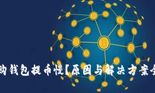 比特购钱包提币慢?原因与解决方案全解析