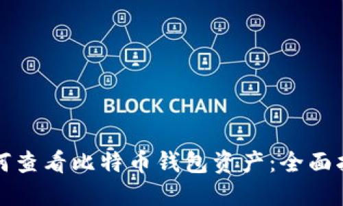 如何查看比特币钱包资产:全面指南