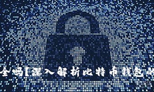比特币美国钱包安全吗?深入解析比特币钱包的安全性及使用指南