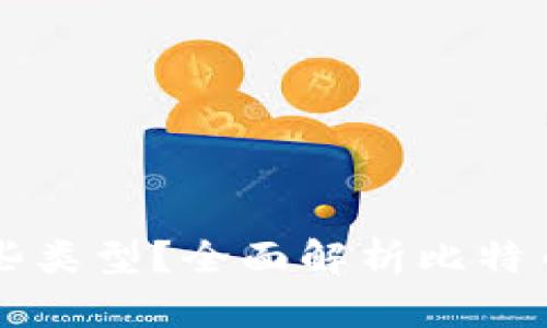 比特币钱包产品有哪些类型？全面解析比特币钱包的种类及其特点