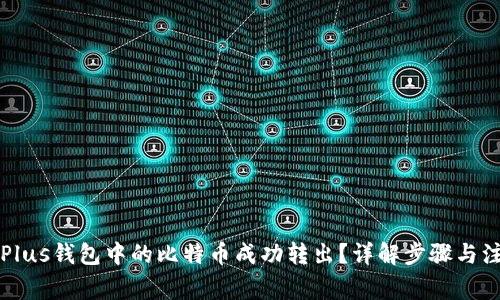 怎样将Plus钱包中的比特币成功转出?详解步骤与注意事项