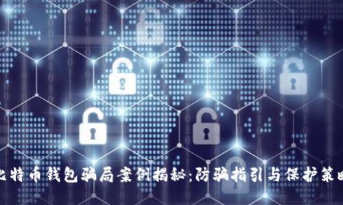 比特币钱包骗局案例揭秘：防骗指引与保护策略