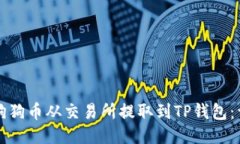 如何将狗狗币从交易所提取到TP钱包：详细指南