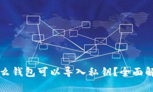 比特币什么钱包可以导入私钥？全面解析与推荐