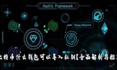 比特币什么钱包可以导入私钥？全面解析与推荐