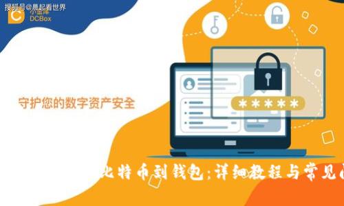 如何安全有效地导入比特币到钱包：详细教程与常见问题解答