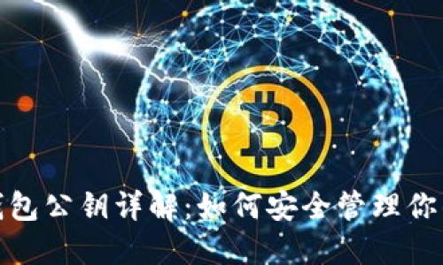 : 比特币钱包公钥详解：如何安全管理你的数字资产