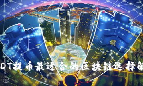 USDT提币最适合的区块链选择解析