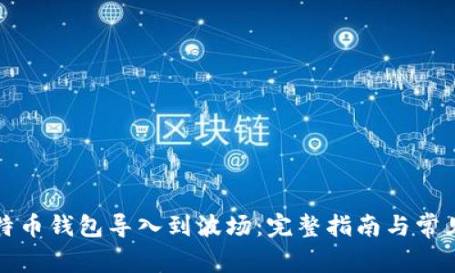 如何将比特币钱包导入到波场:完整指南与常见问题解答
