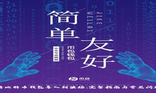 如何将比特币钱包导入到波场:完整指南与常见问题解答