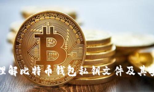 深入理解比特币钱包私钥文件及其安全性