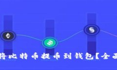 如何安全高效地将比特币提币到钱包？全面指南