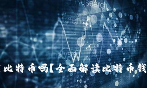 货币钱包都能装比特币吗？全面解读比特币钱包的种类与功能