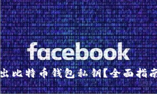 如何安全导出比特币钱包私钥?全面指南与注意事项