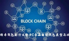 比特币钱包是什么软件?全面解析钱包类型与功