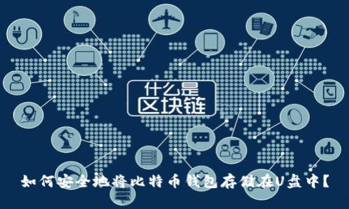 如何安全地将比特币钱包存储在U盘中?