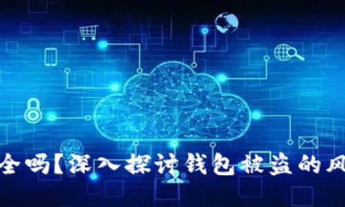 比特币钱包安全吗?深入探讨钱包被盗的风险与防护措施