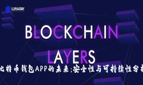 比特币钱包APP的未来：安全性与可持续性分析