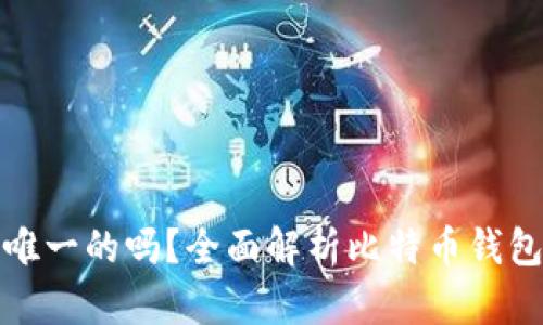 比特币钱包是唯一的吗?全面解析比特币钱包的类型与选择