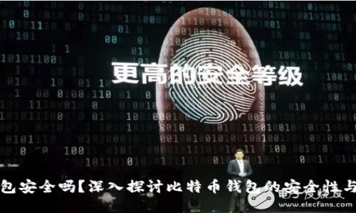 比特币钱包安全吗?深入探讨比特币钱包的安全性与使用技巧