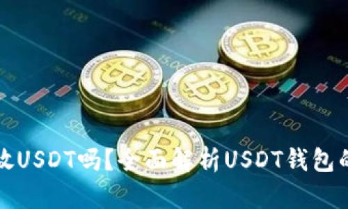 : 钱包可以放USDT吗?全面解析USDT钱包的选择与使用