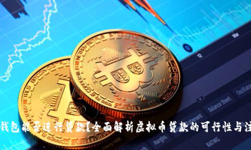 虚拟币钱包能否进行贷款?全面解析虚拟币贷款的可行性与注意事项