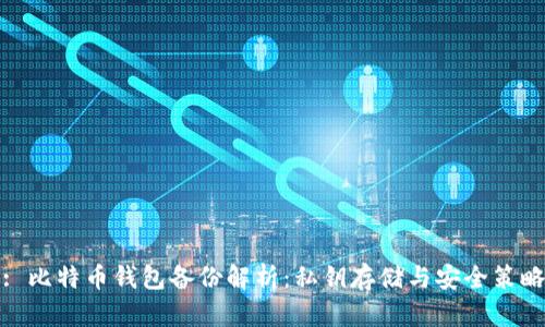 : 比特币钱包备份解析:私钥存储与安全策略