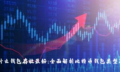 比特币用什么钱包存放最好:全面解析比特币钱包类型及选购指南