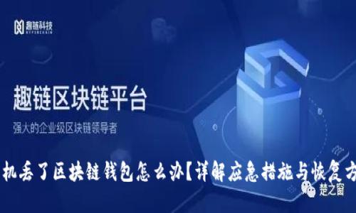 手机丢了区块链钱包怎么办?详解应急措施与恢复方式