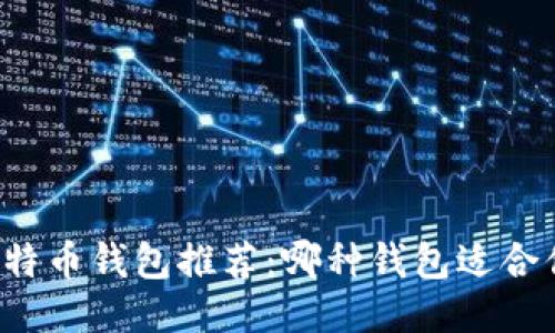 比特币钱包推荐:哪种钱包适合你?
