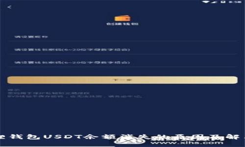 小狐狸钱包USDT余额消失的原因及解决方法