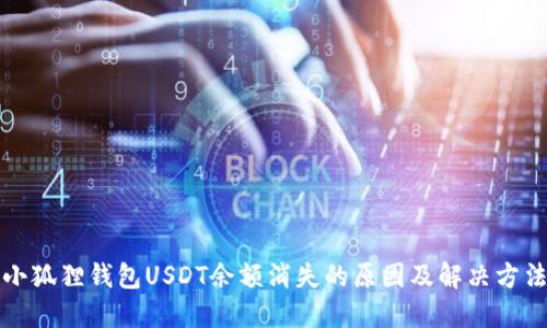 小狐狸钱包USDT余额消失的原因及解决方法
