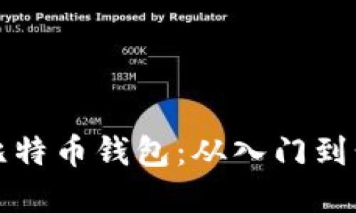 如何安全使用比特币钱包:从入门到精通的完整指南