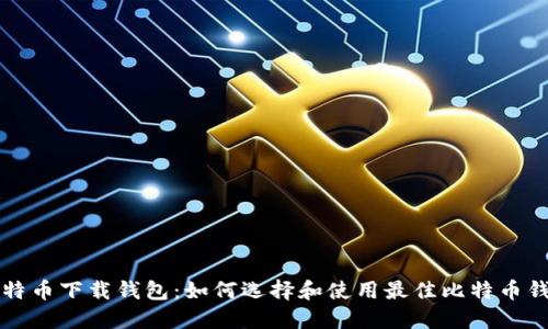 比特币下载钱包:如何选择和使用最佳比特币钱包