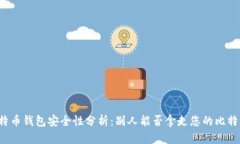 比特币钱包安全性分析:别人能否拿走您的比特