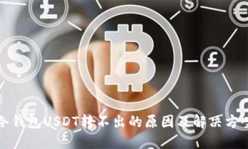 冷钱包USDT转不出的原因及解决方案