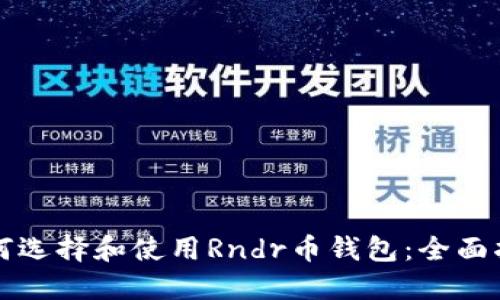 如何选择和使用Rndr币钱包：全面指南